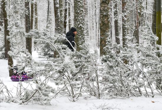 Горожане отдыхают в парке "Сосновка" в Санкт-Петербурге