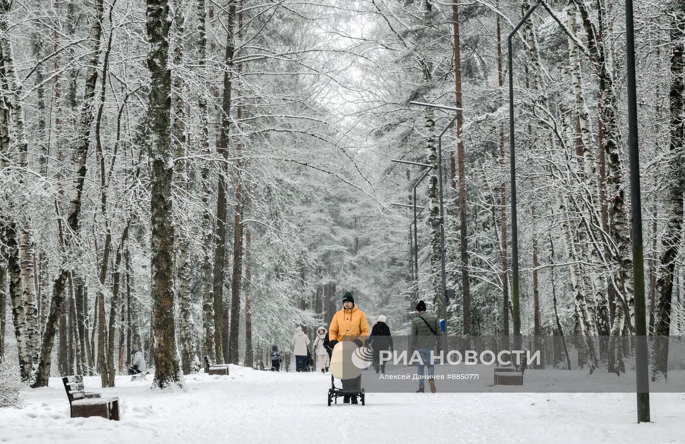 Горожане отдыхают в парке "Сосновка" в Санкт-Петербурге