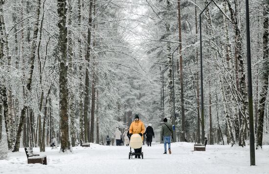 Горожане отдыхают в парке "Сосновка" в Санкт-Петербурге
