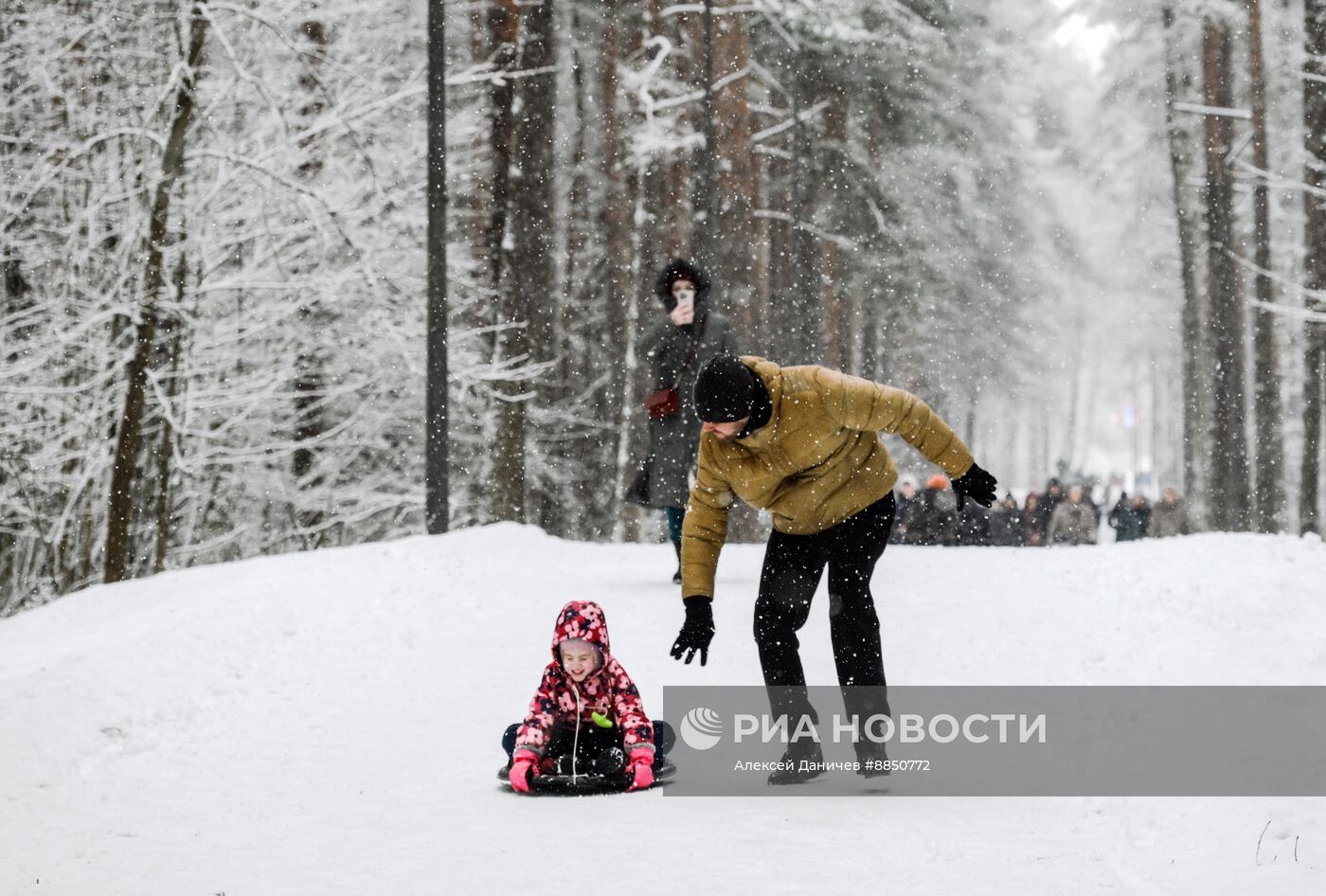 Горожане отдыхают в парке "Сосновка" в Санкт-Петербурге