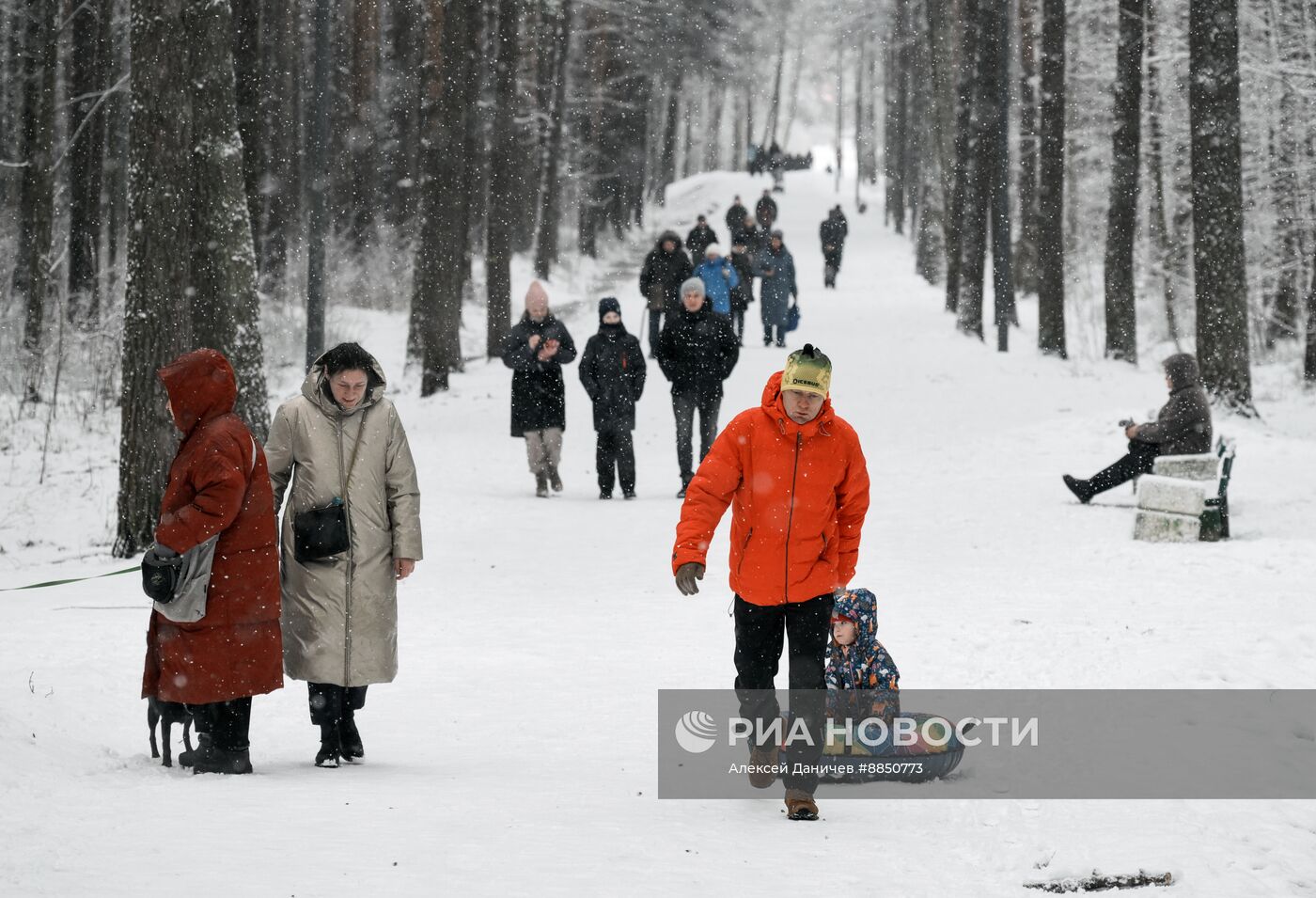 Горожане отдыхают в парке "Сосновка" в Санкт-Петербурге