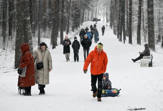 Горожане отдыхают в парке "Сосновка" в Санкт-Петербурге