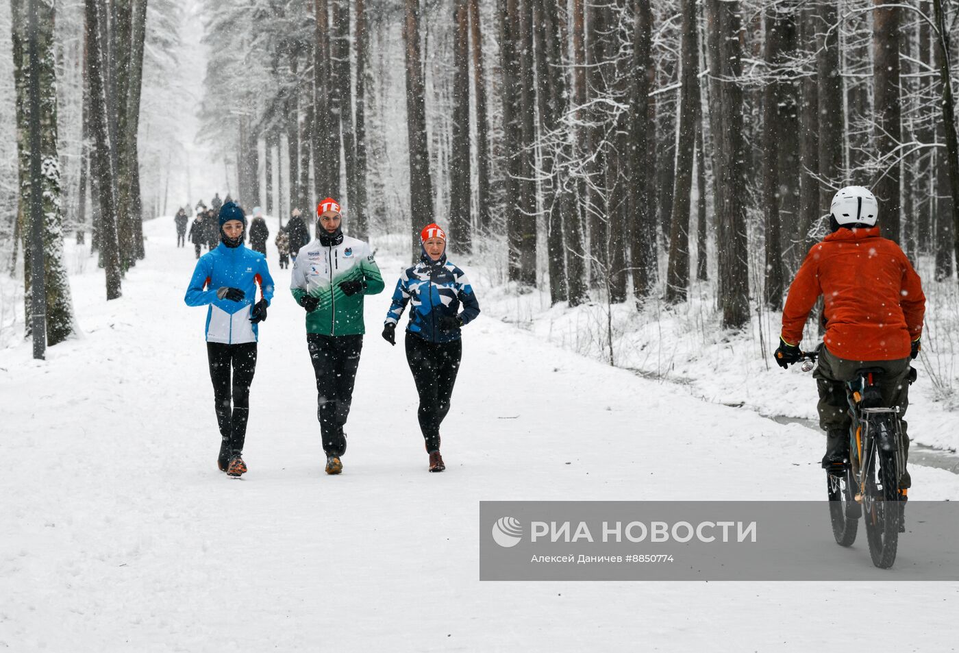Горожане отдыхают в парке "Сосновка" в Санкт-Петербурге