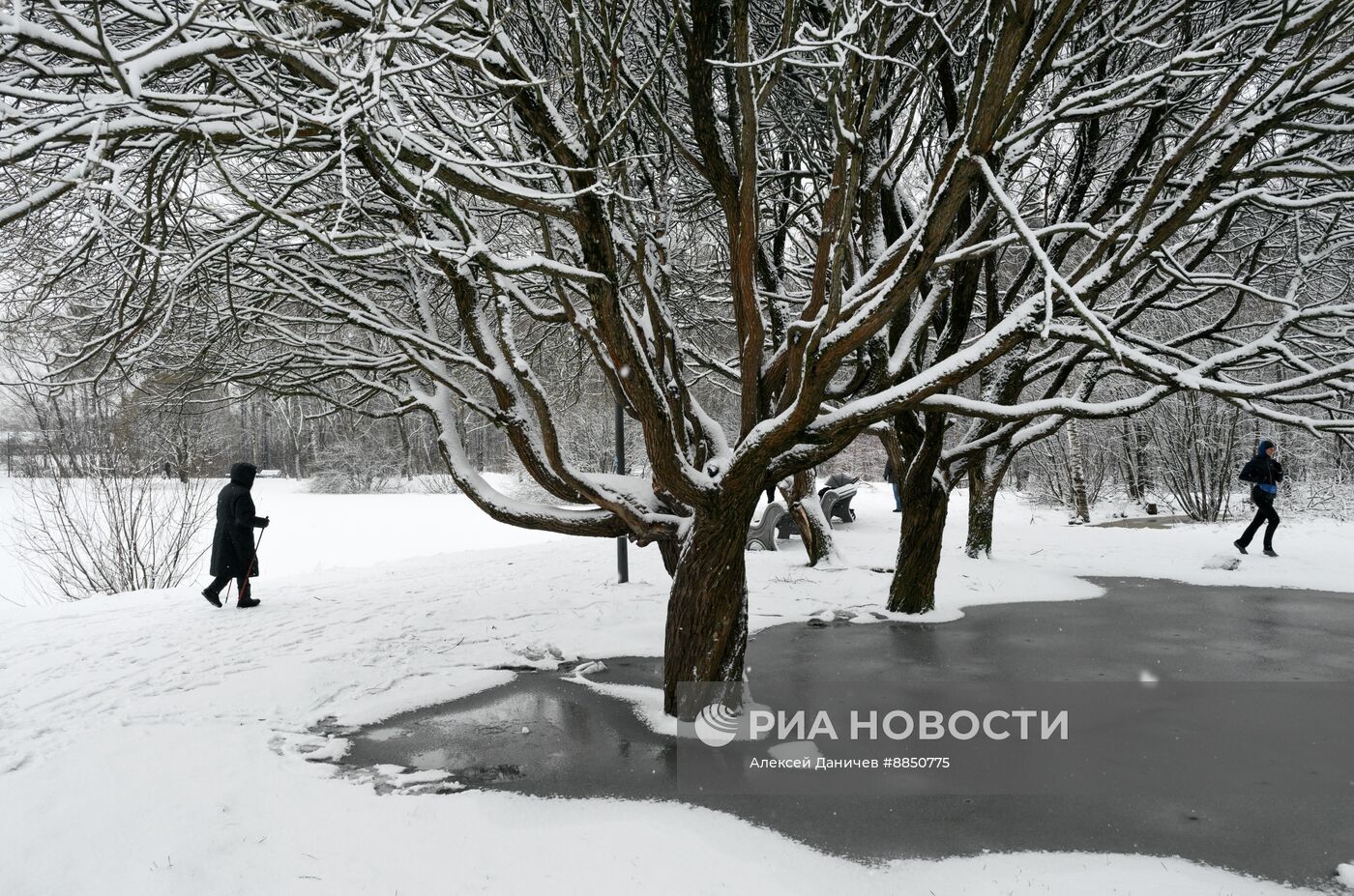 Горожане отдыхают в парке "Сосновка" в Санкт-Петербурге