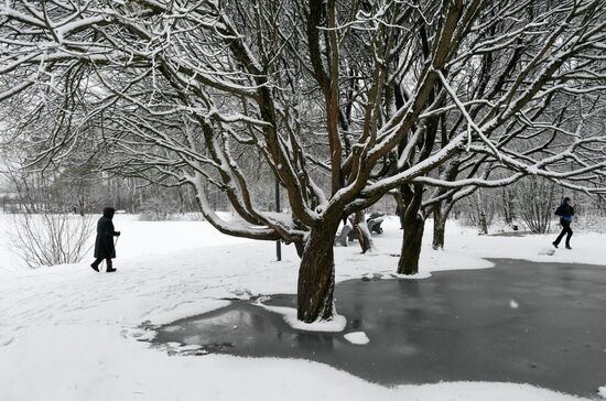 Горожане отдыхают в парке "Сосновка" в Санкт-Петербурге