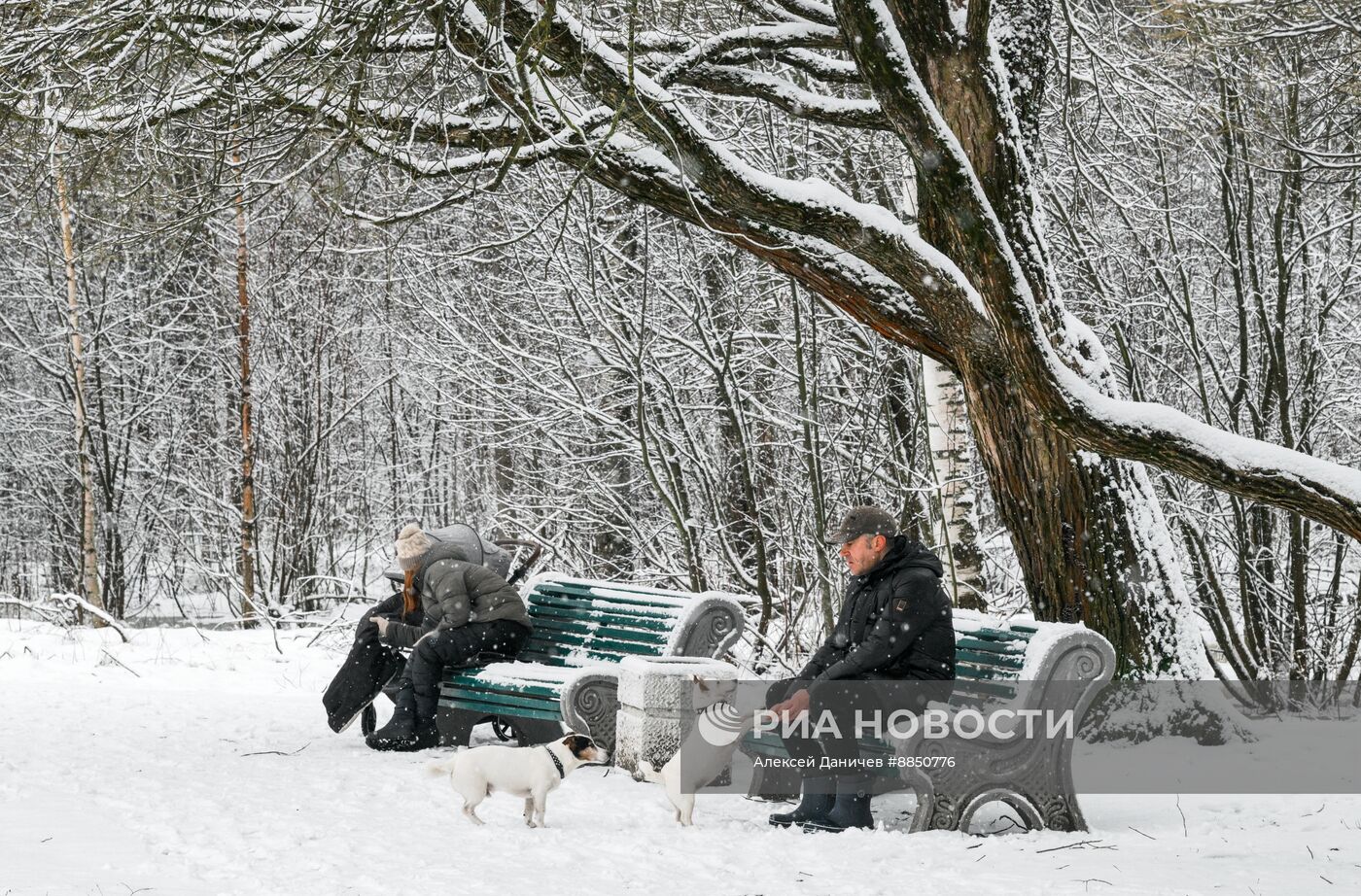 Горожане отдыхают в парке "Сосновка" в Санкт-Петербурге