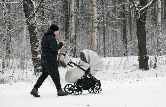 Горожане отдыхают в парке "Сосновка" в Санкт-Петербурге