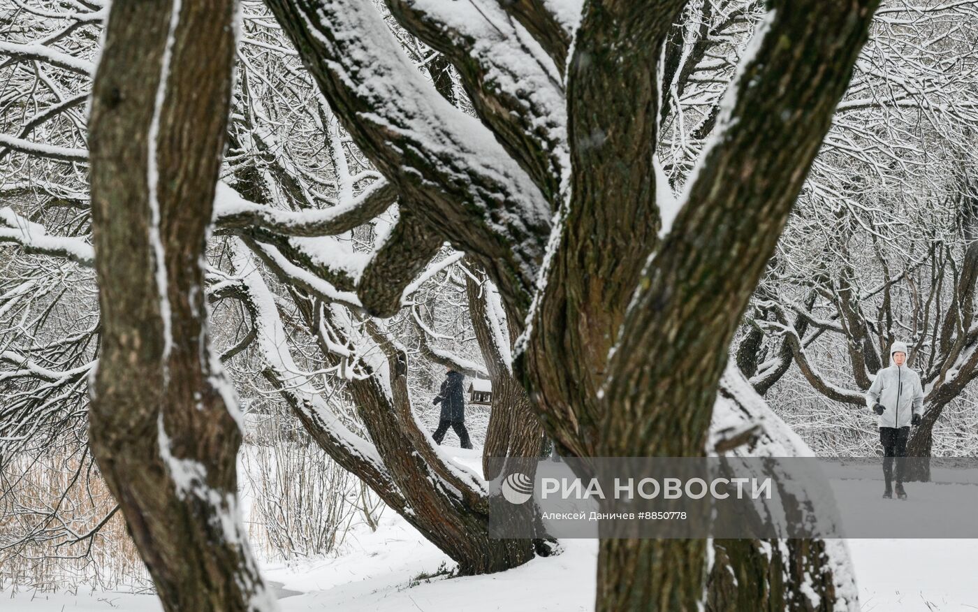 Горожане отдыхают в парке "Сосновка" в Санкт-Петербурге