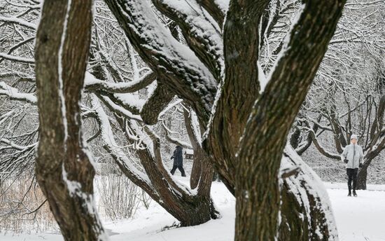 Горожане отдыхают в парке "Сосновка" в Санкт-Петербурге