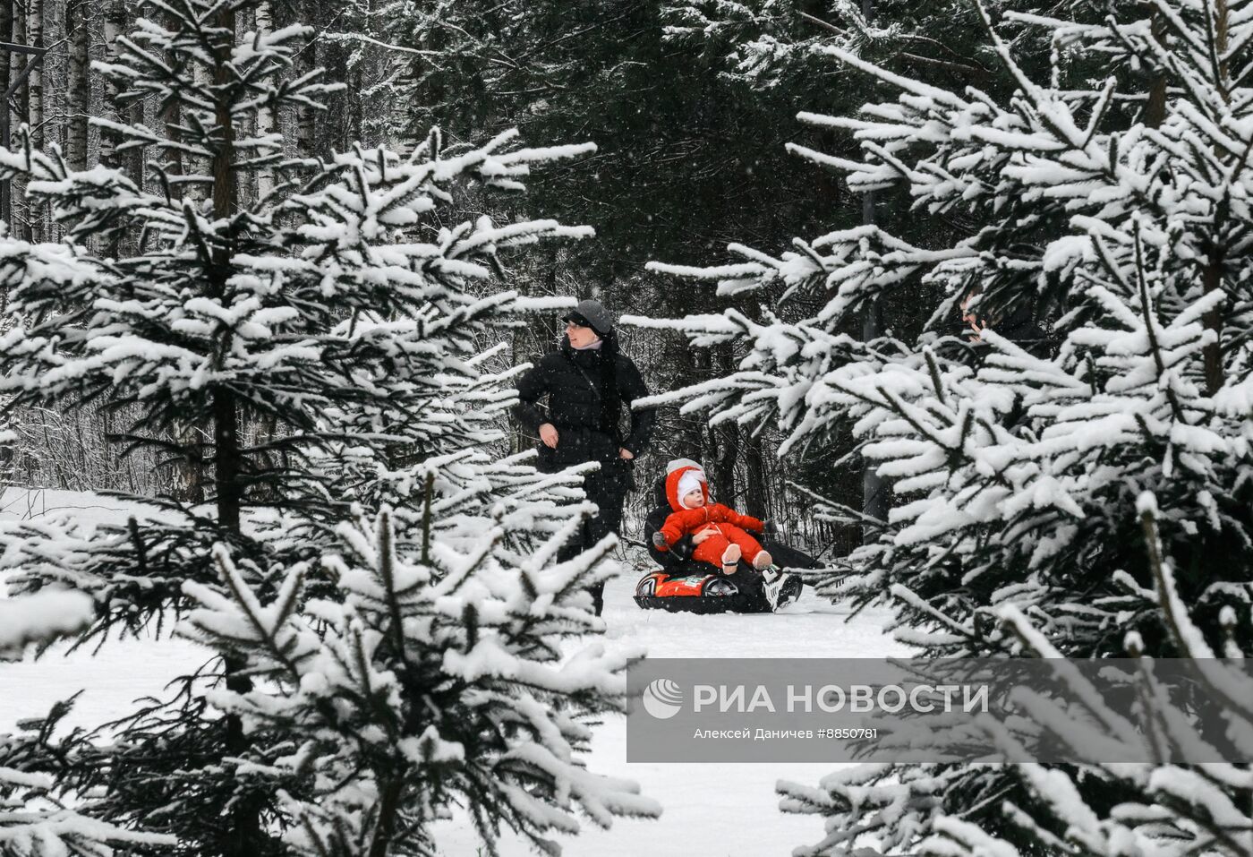 Горожане отдыхают в парке "Сосновка" в Санкт-Петербурге