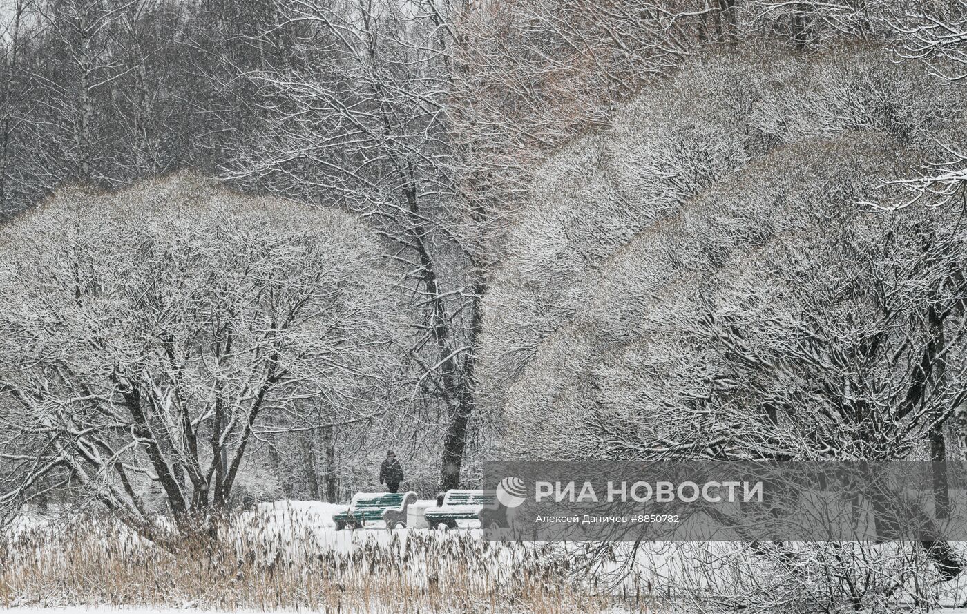 Горожане отдыхают в парке "Сосновка" в Санкт-Петербурге