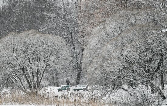 Горожане отдыхают в парке "Сосновка" в Санкт-Петербурге