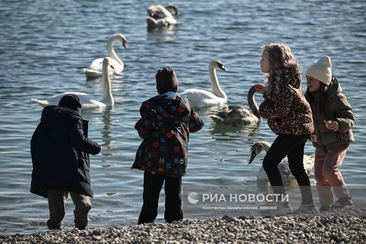 Лебединое озеро в Евпатории