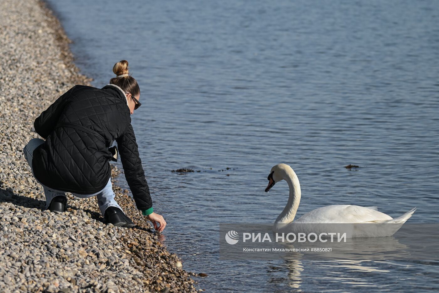 Лебединое озеро в Евпатории