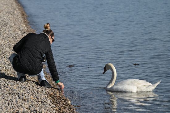 Лебединое озеро в Евпатории