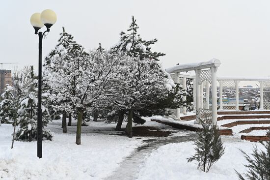 Последствия снегопада в Ростове-на-Дону