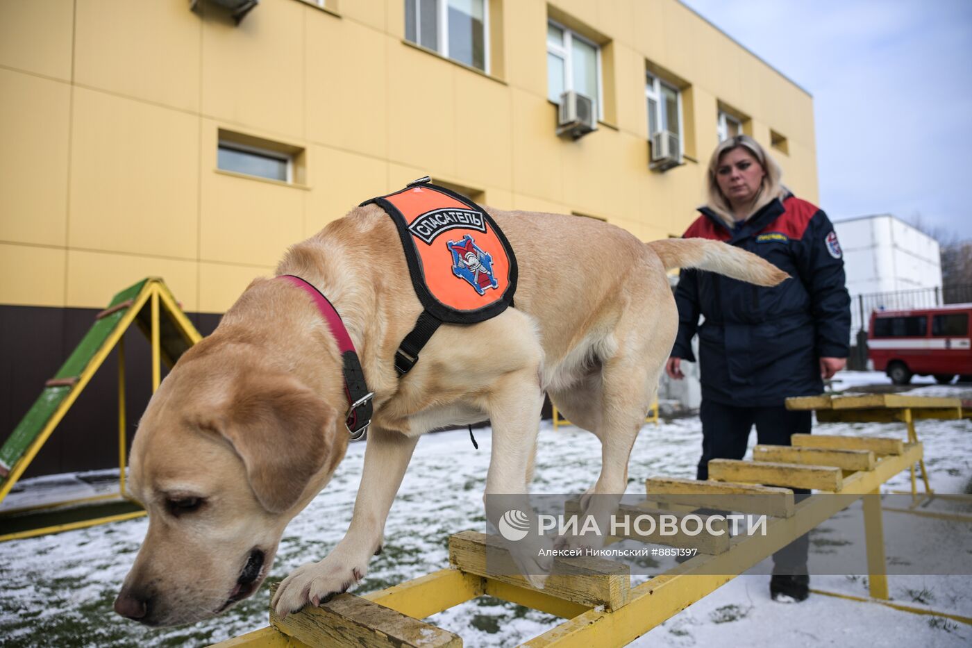 Тренировка собак-спасателей в пожарно-спасательном центре