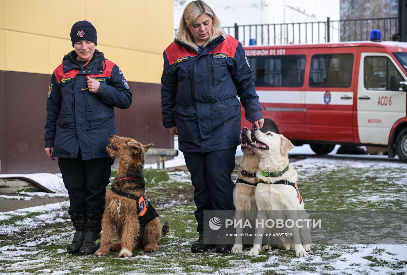 Тренировка собак-спасателей в пожарно-спасательном центре