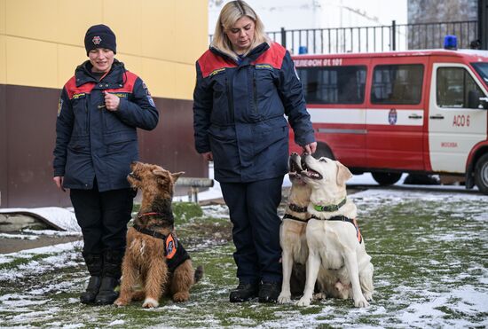 Тренировка собак-спасателей в пожарно-спасательном центре