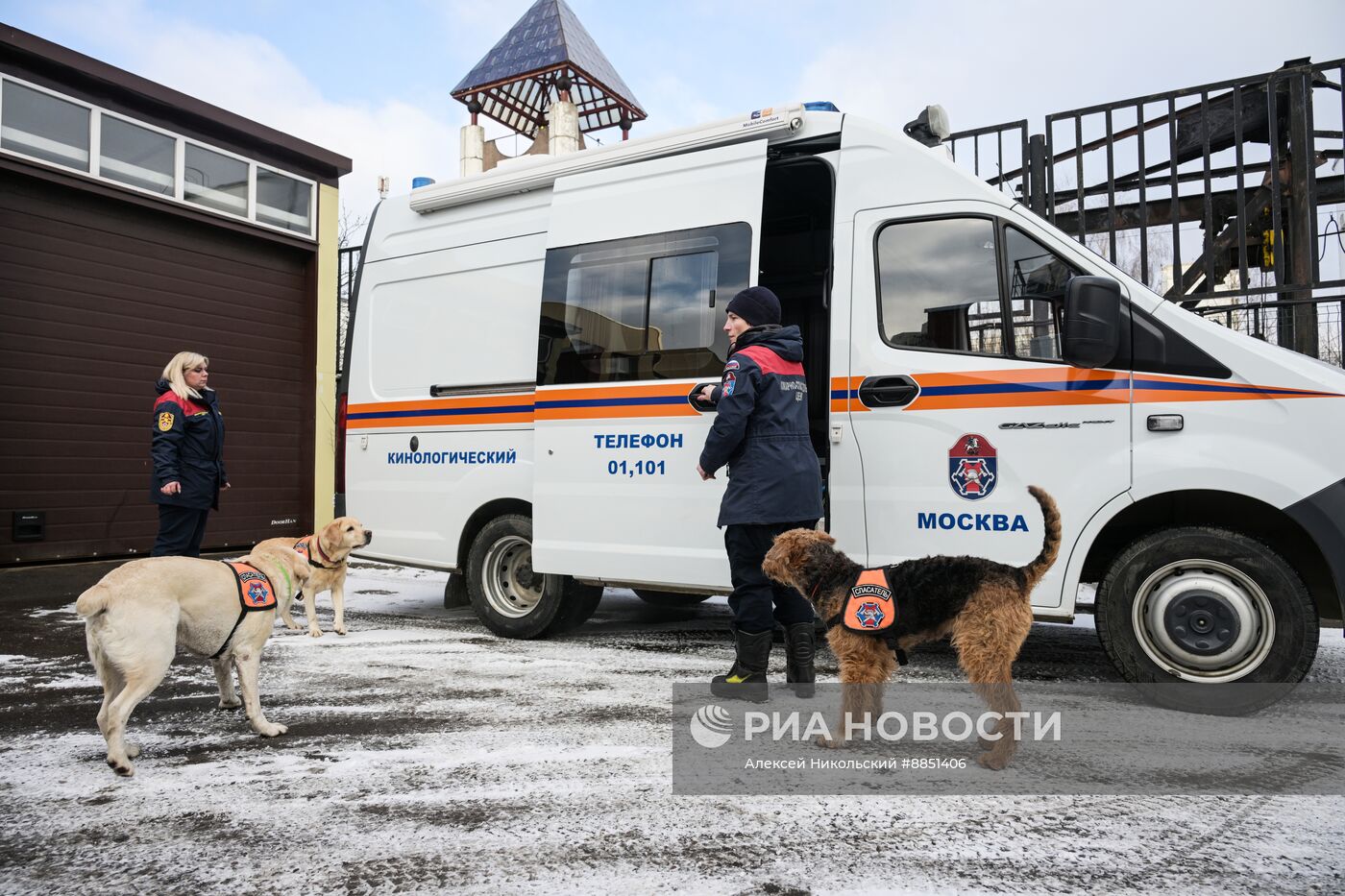 Тренировка собак-спасателей в пожарно-спасательном центре