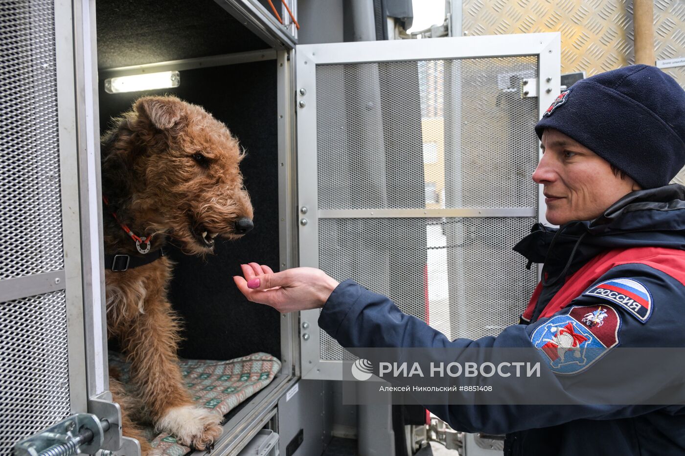 Тренировка собак-спасателей в пожарно-спасательном центре