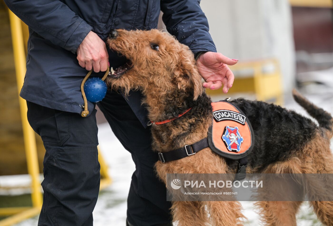 Тренировка собак-спасателей в пожарно-спасательном центре