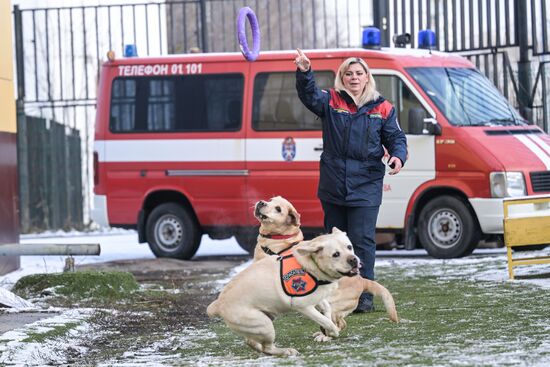 Тренировка собак-спасателей в пожарно-спасательном центре