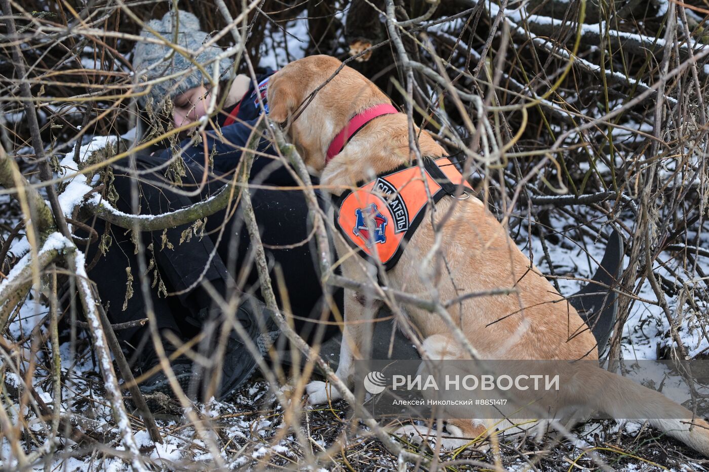 Тренировка собак-спасателей в пожарно-спасательном центре