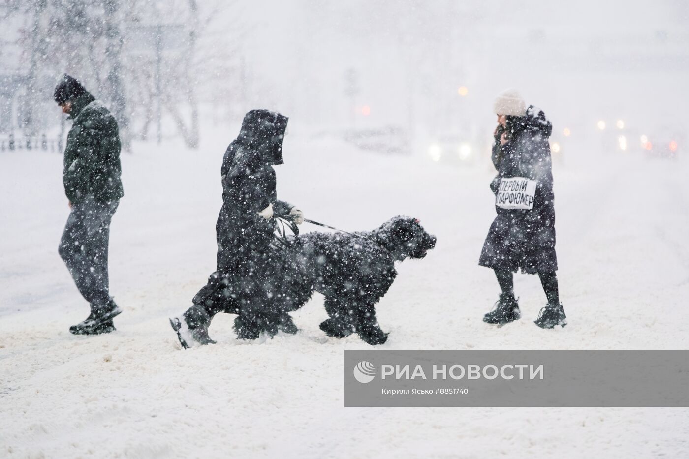 Снегопад на Сахалине