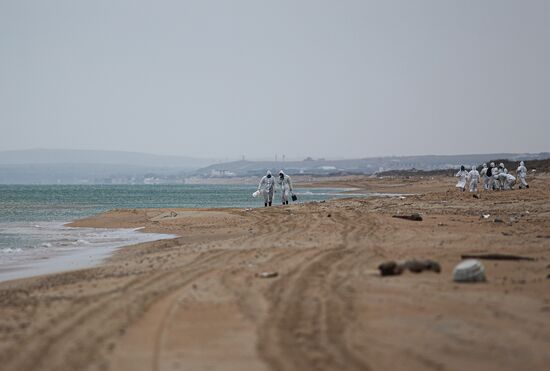 Ликвидация последствий разлива мазута на побережье Черного моря