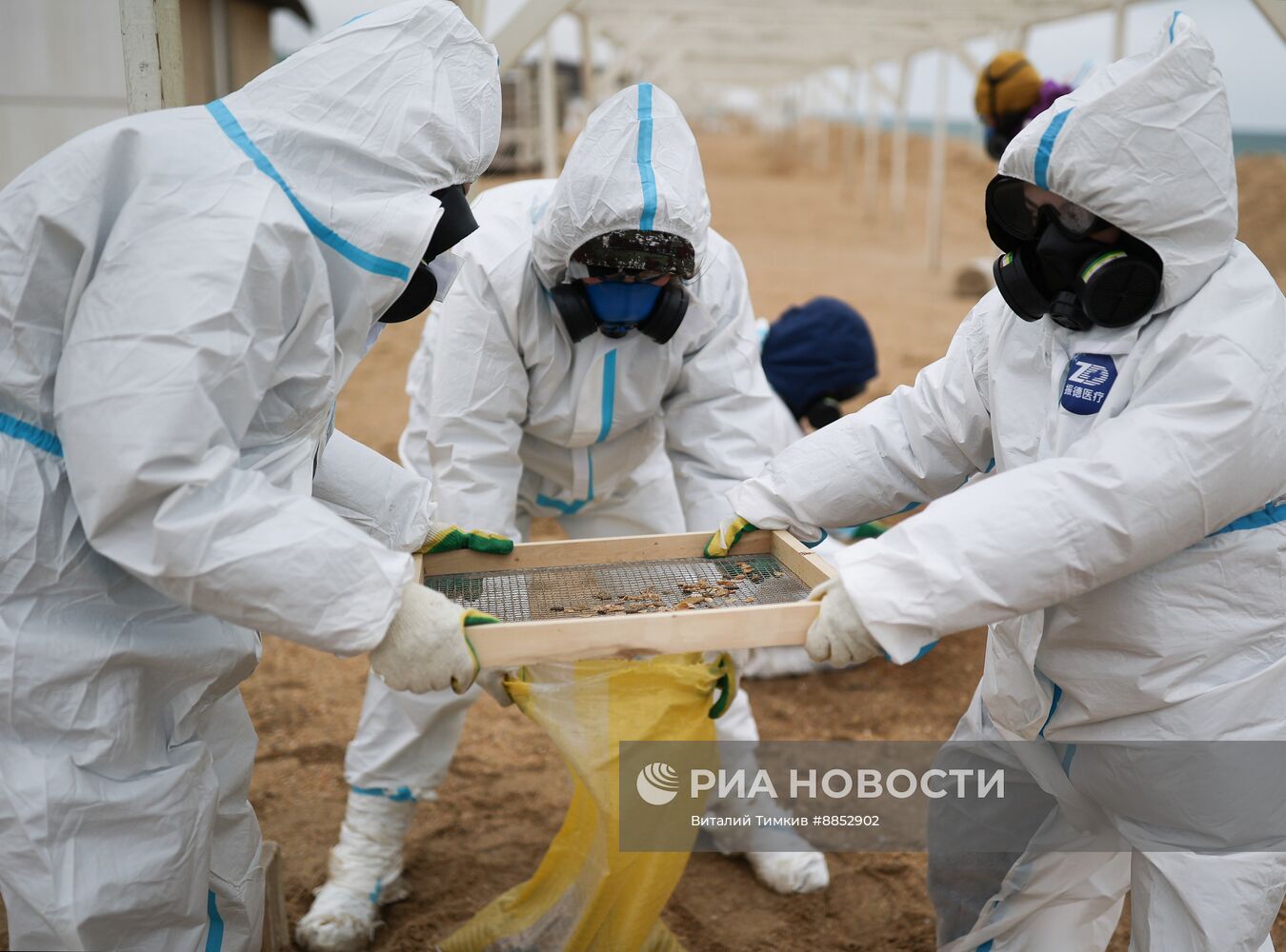 Ликвидация последствий разлива мазута на побережье Черного моря