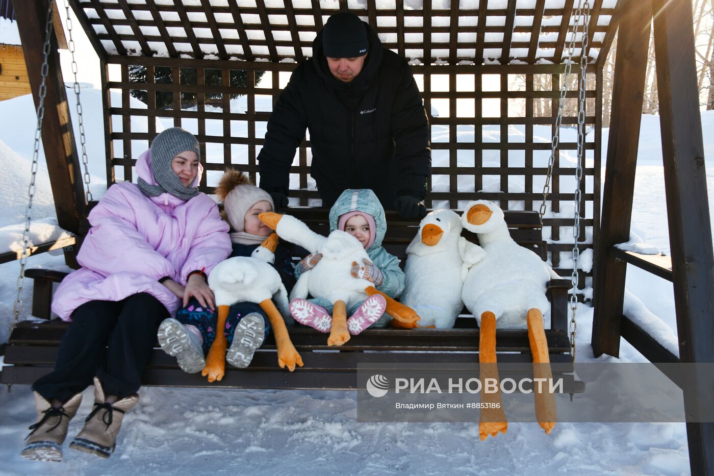 Зимовка лебедей в Алтайском крае