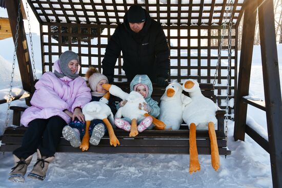 Зимовка лебедей в Алтайском крае