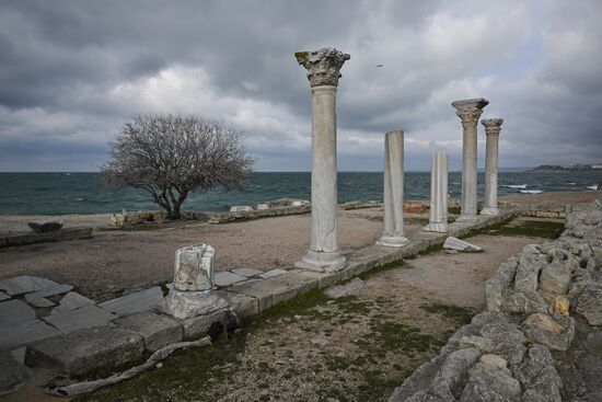 Музеи Херсонес Таврический и "Новый Херсонес"