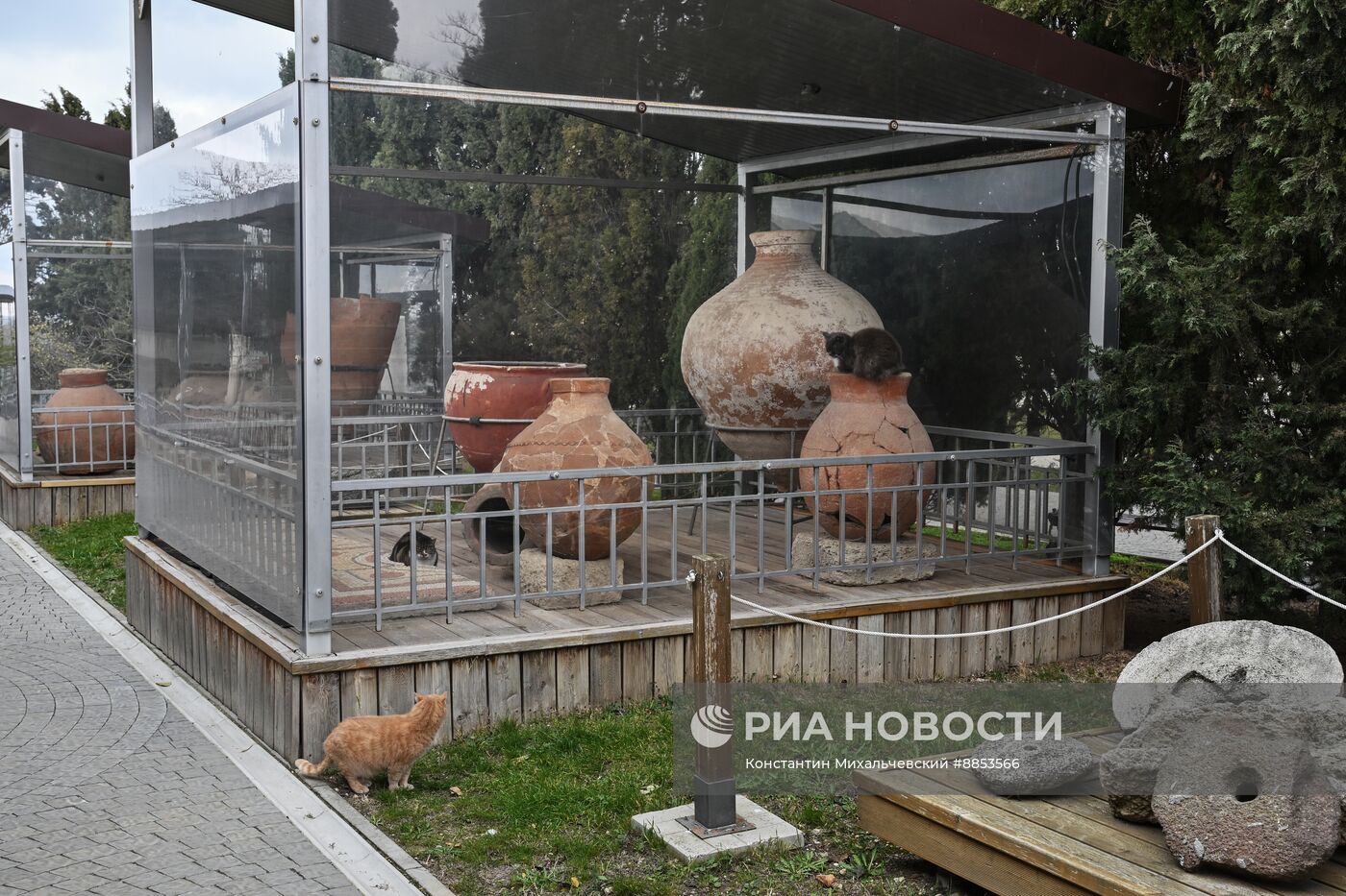 Музеи Херсонес Таврический и "Новый Херсонес"