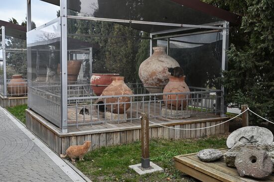 Музеи Херсонес Таврический и "Новый Херсонес"