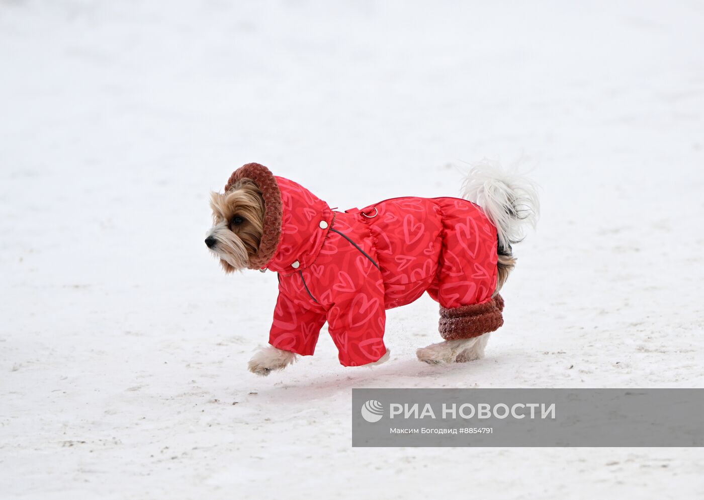 Зима в России