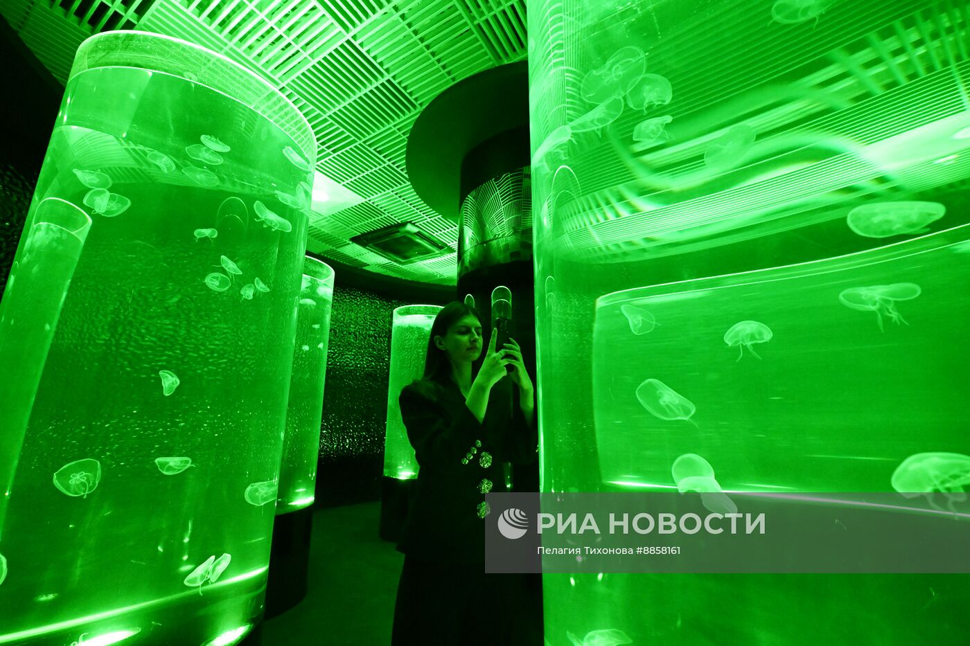 Новое пространство с медузами в "Москвариуме"