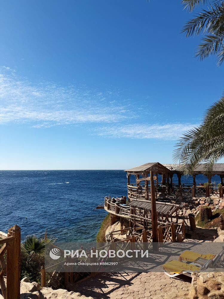 Страны мира. Египет