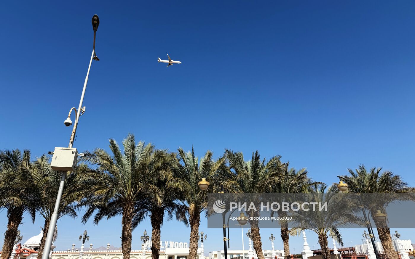 Страны мира. Египет