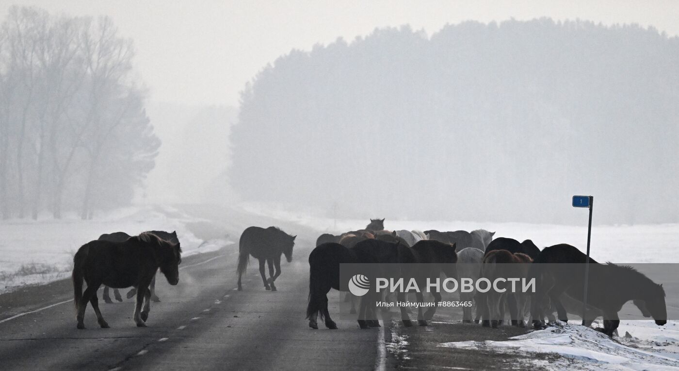 Зима в Сибири