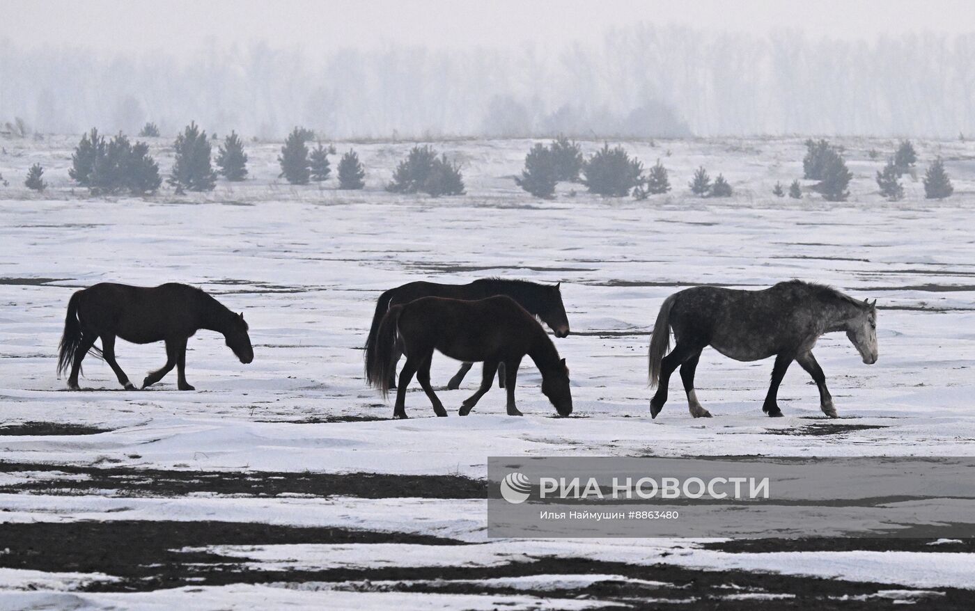 Зима в Сибири