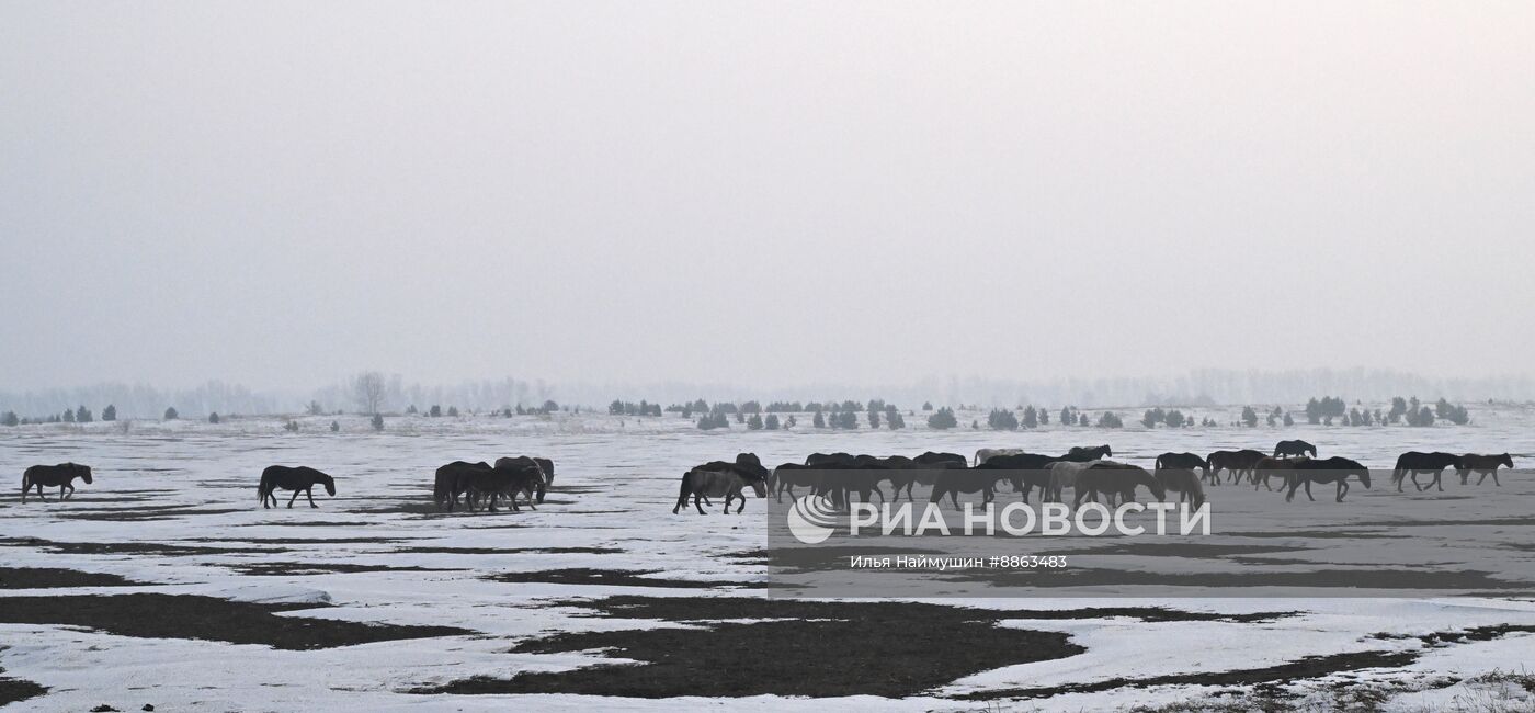 Зима в Сибири