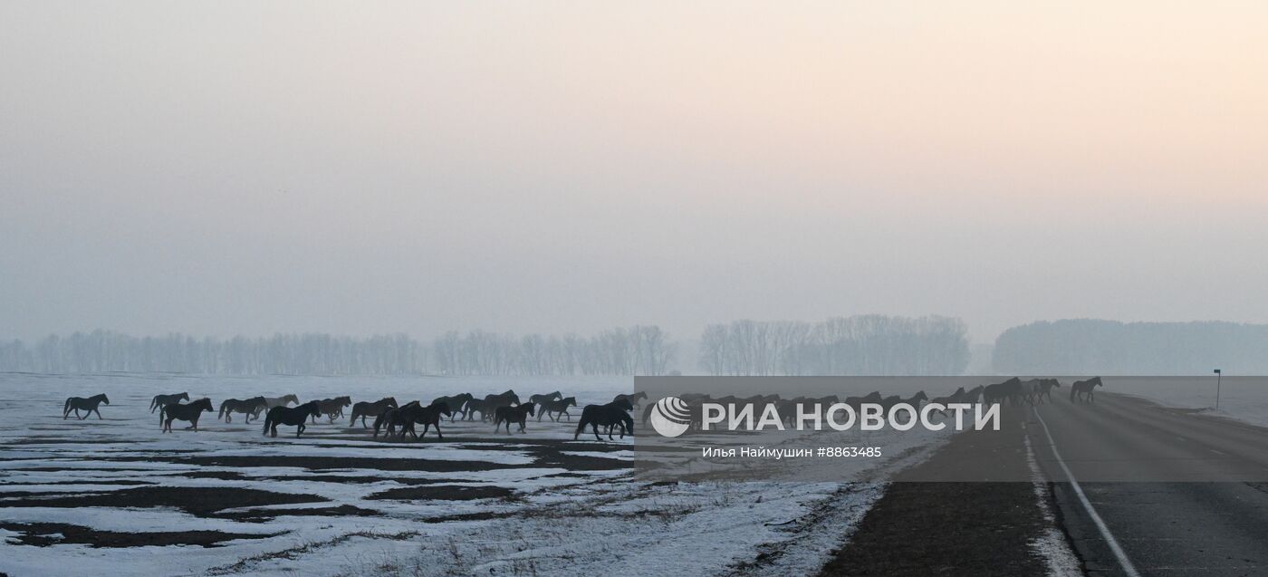 Зима в Сибири