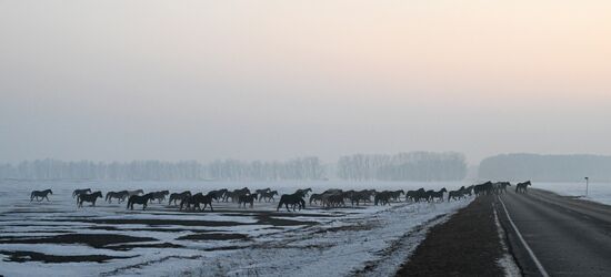 Зима в Сибири