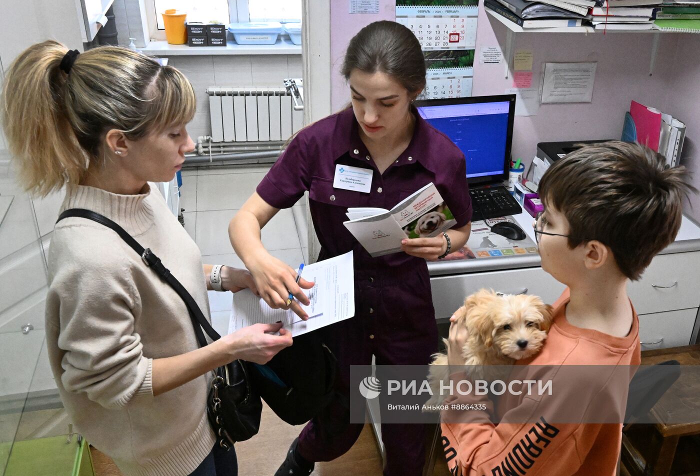 Работа ветеринарной клиники