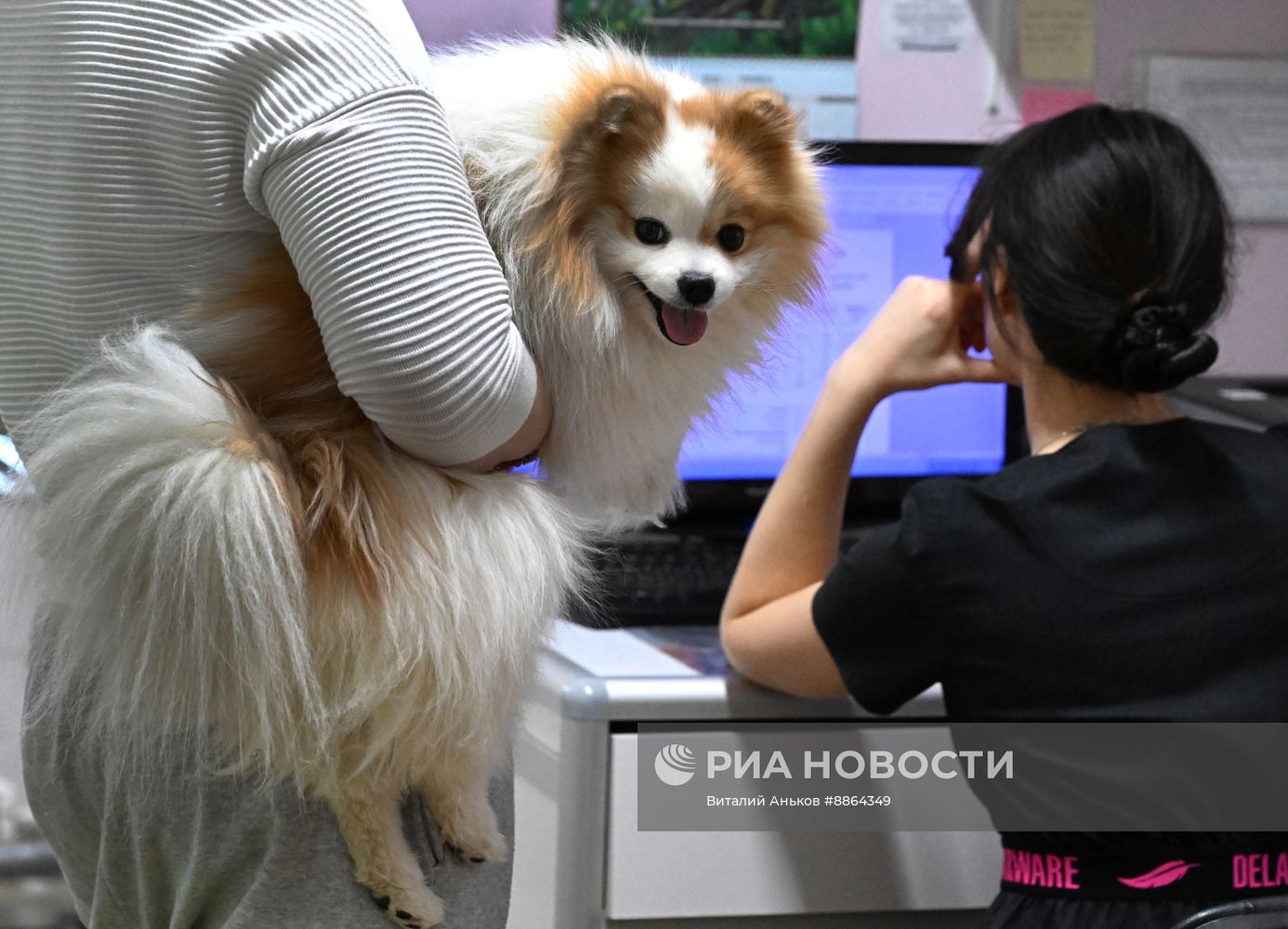 Работа ветеринарной клиники