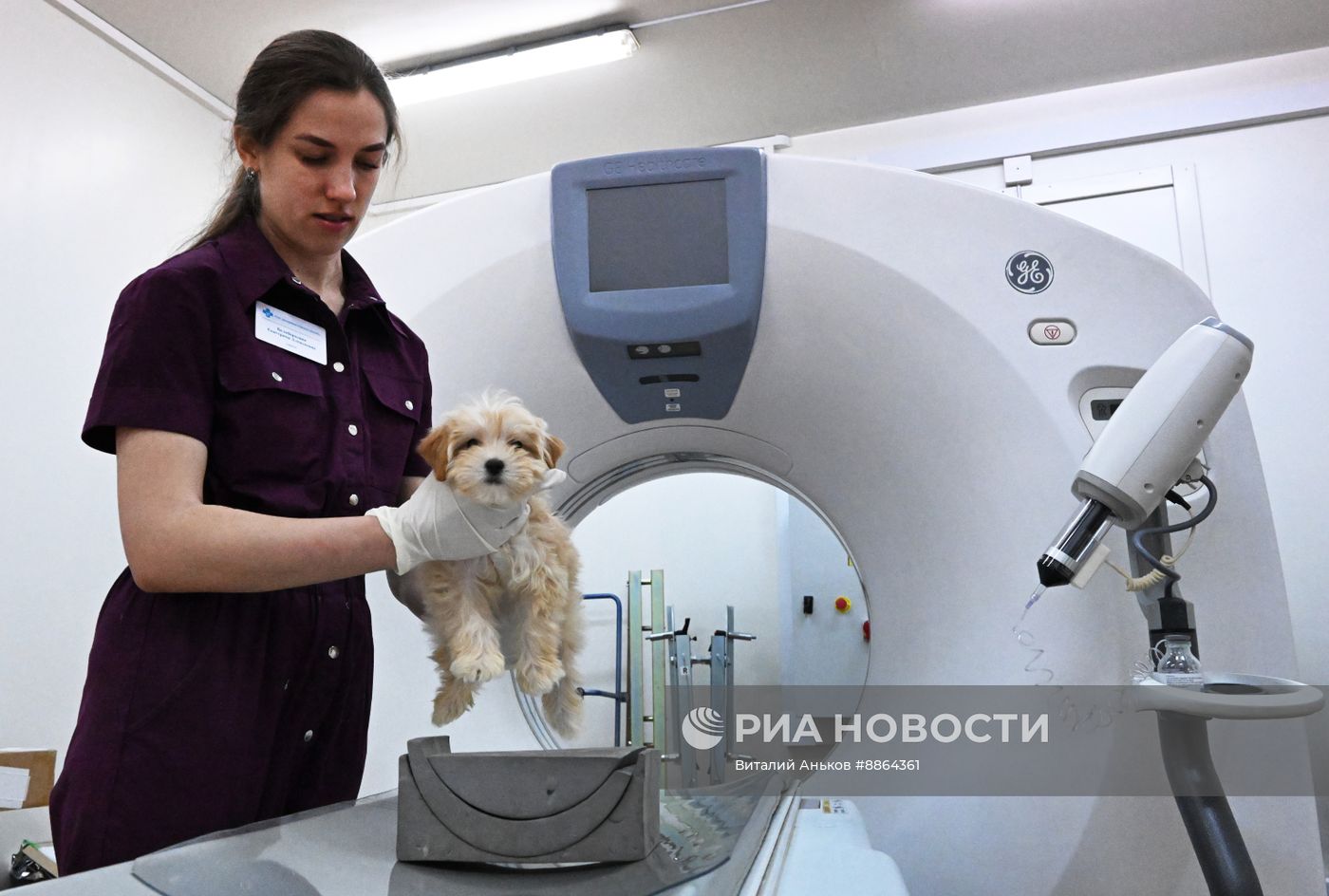 Работа ветеринарной клиники