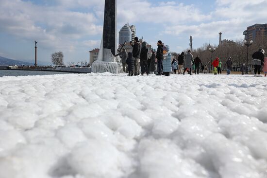 Зима в Краснодарском крае Зима в Краснодарском крае