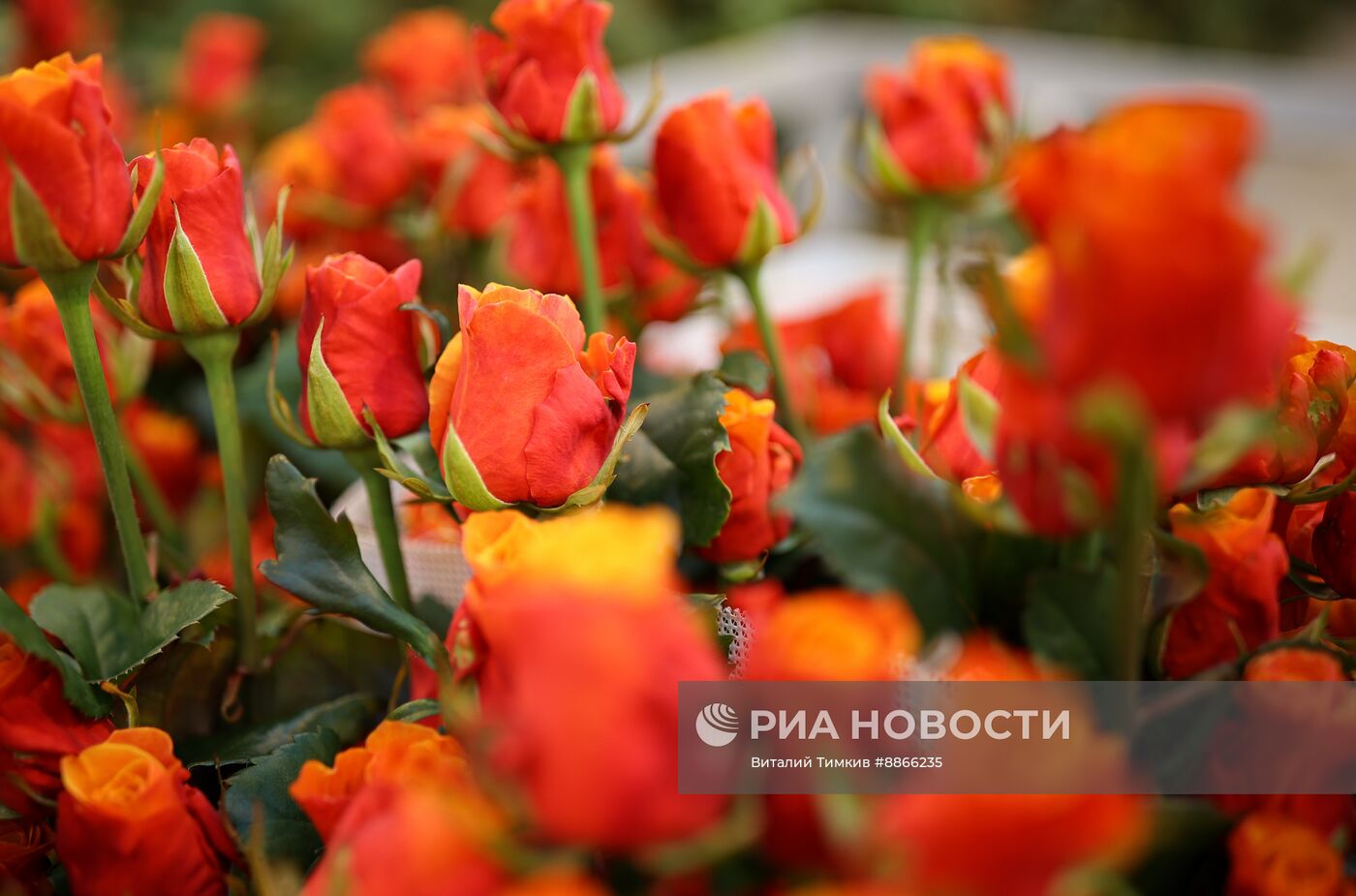 Цветы к 8 марта